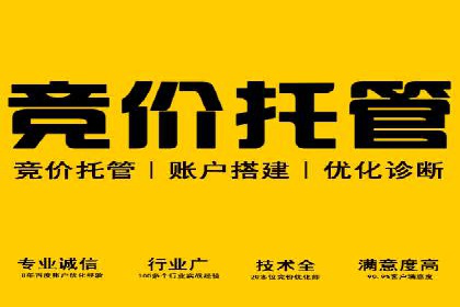 百度竞价公司案例分析：优化策略全解析